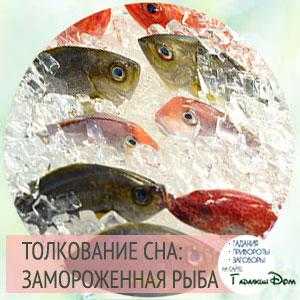 К чему снятся опарыши: черные, белые, живые, мертвые, много, в еде, на теле, голове, в волосах, на полу, одежде, в воде, рыбе, мясе, давить