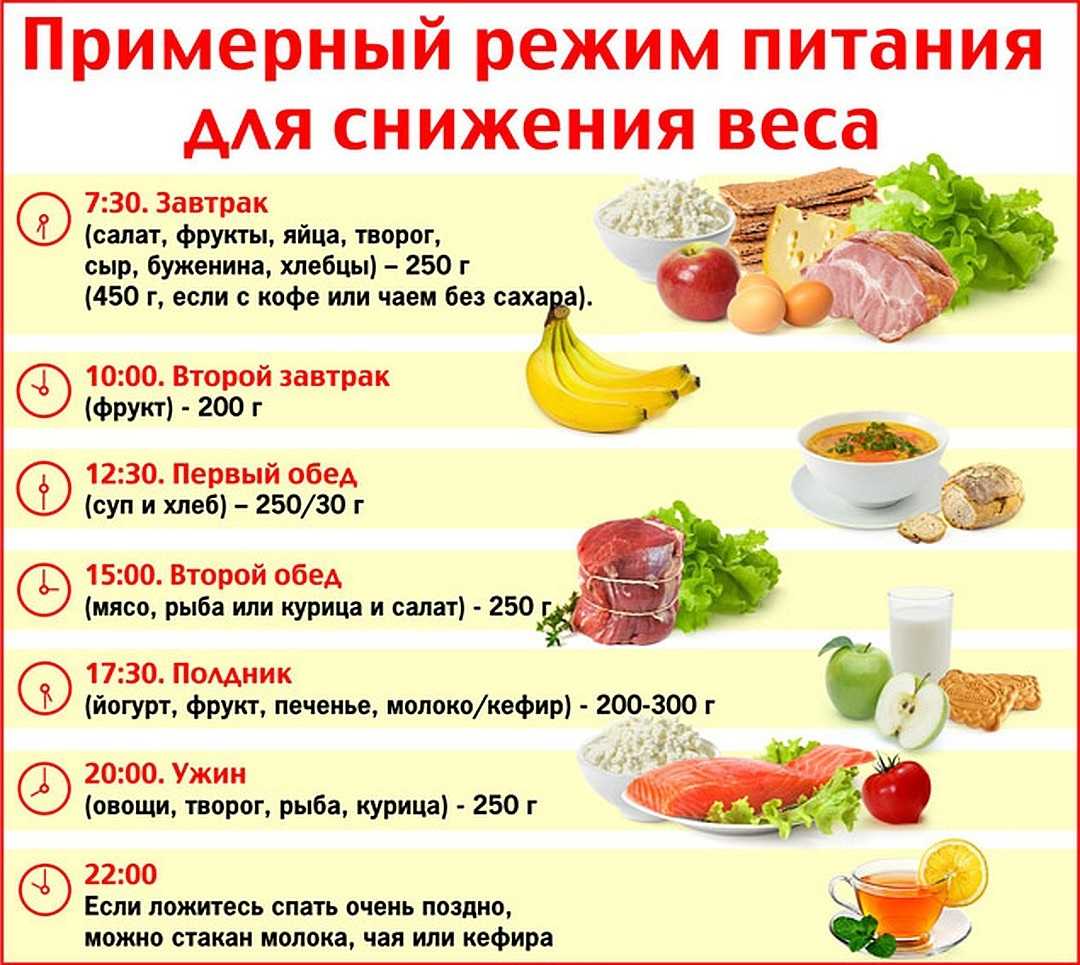 Правильный режим питания: сколько раз в день нужно есть?