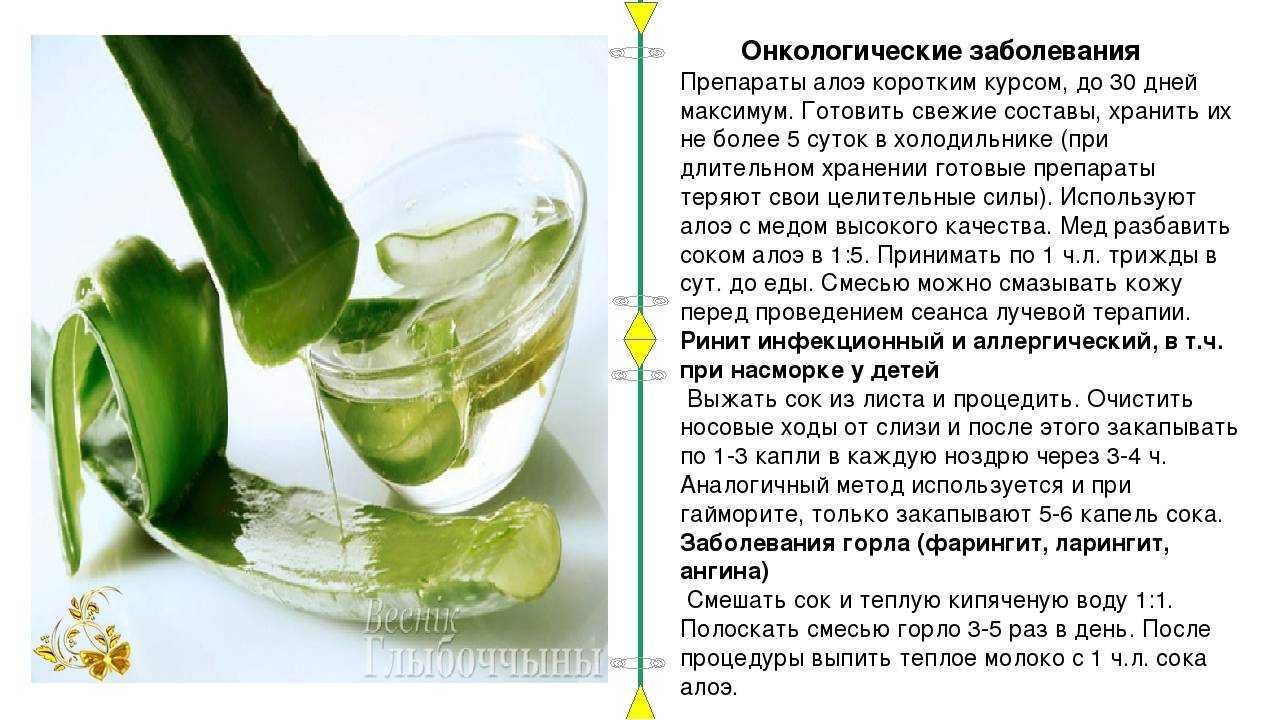 Вкуснейшая смородиновая настойка на водке – черная жемчужина вашей коллекции