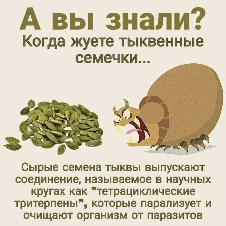Что произойдет с вашим телом, если каждый день есть семена тыквы?