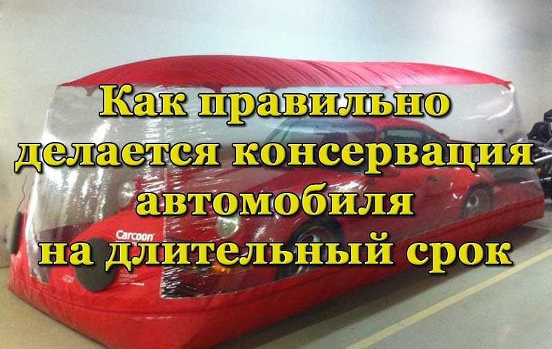 Подснежники в тренажерном зале