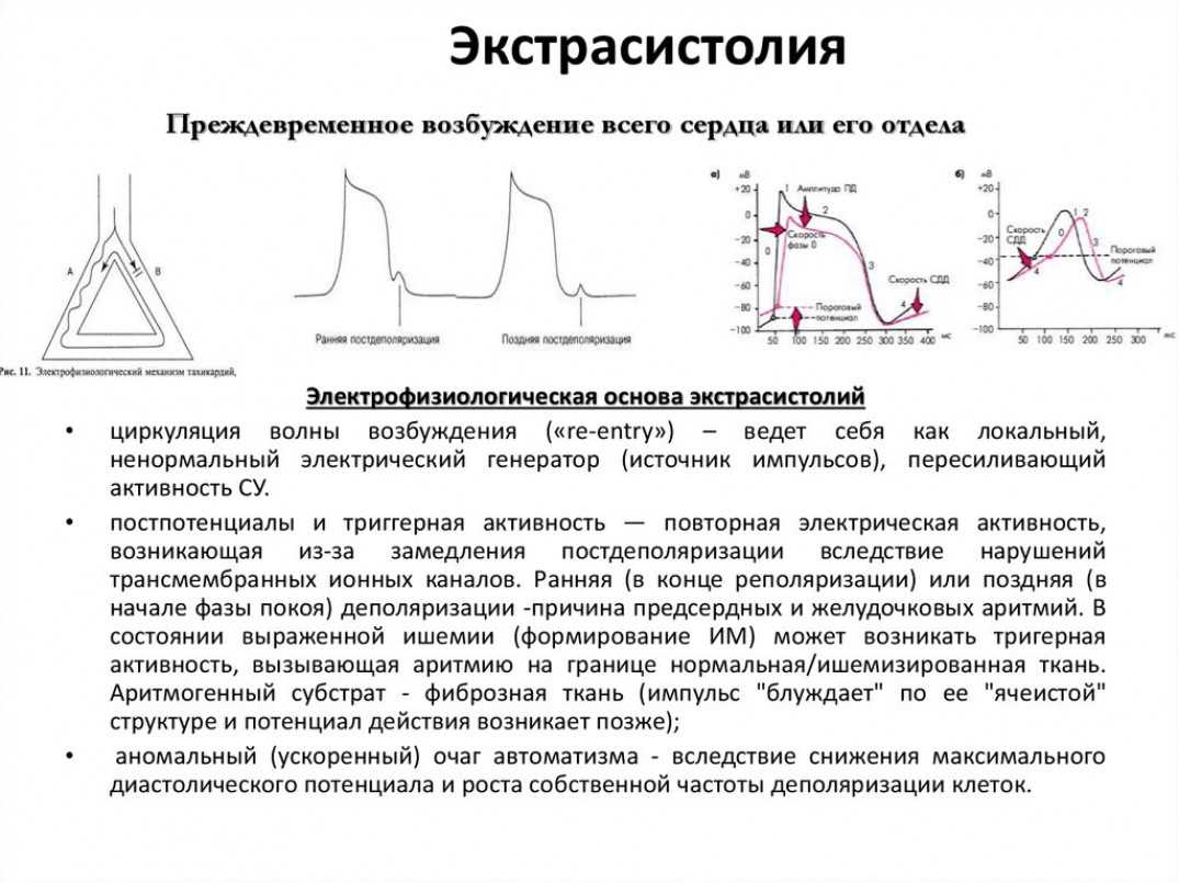 Лишний вес: опасность, причины, последствия, типы ожирения | блог anti-age expert