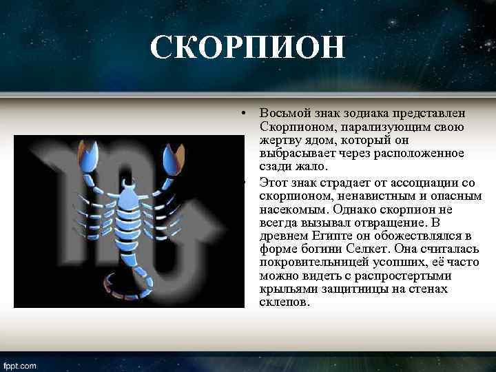 Рейтинг жен по знаку зодиака: какая из них лучшая?