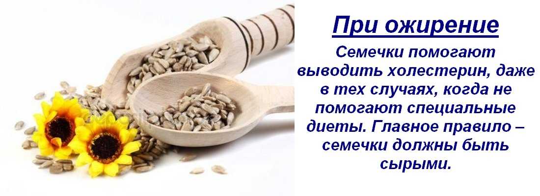 Семечки тыквенные: польза и вред для организма