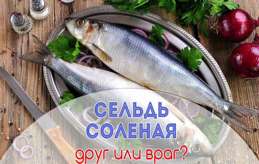 К чему снится рыба мужчине и женщине?
