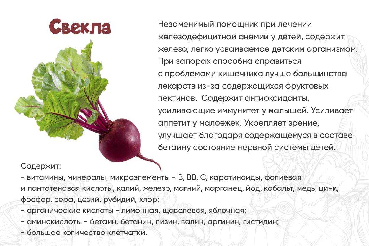 Маринованная свекла быстрого приготовления как закуска