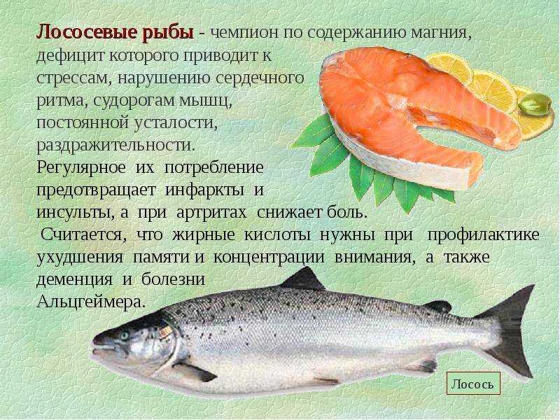 10 изменений в организме, если начать есть морепродукты: новости, морепродукты, еда, рацион питания, здоровье, красота и здоровье