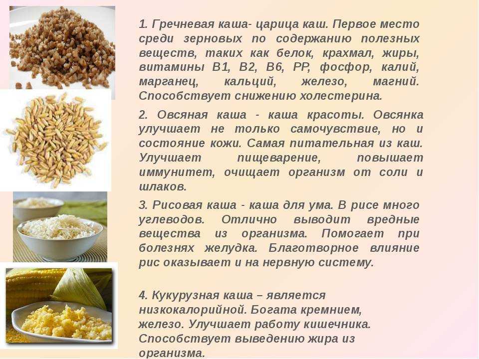 Лучшие рецепты скраба для кишечника из овсянки для похудения