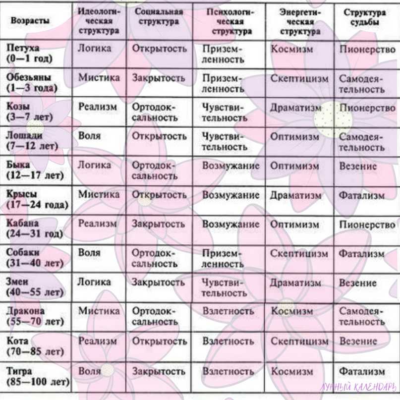 Как определить тип личности по совмещению китайского и зодиакального гороскопа
