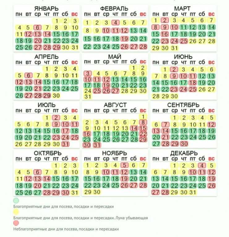 Лунный календарь стрижки волос на декабрь 2020 года
