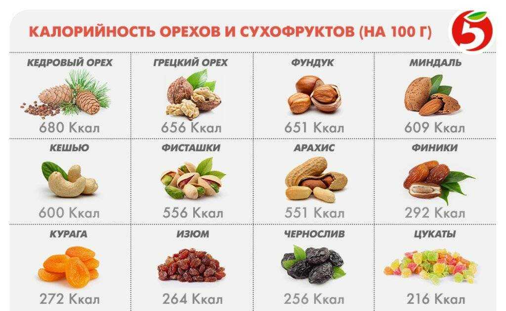 Сколько калорий в орехах таблица, бжу и калорийность на 100 грамм