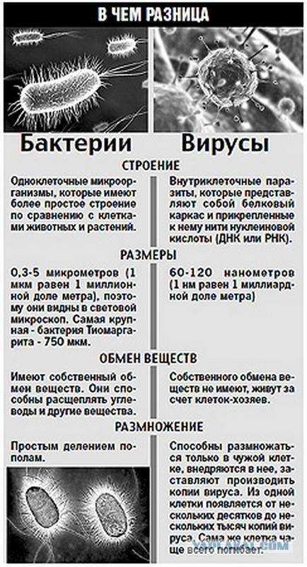 Анализ на пищевую непереносимость питания: как делать, что покажет? — блог mygenetics