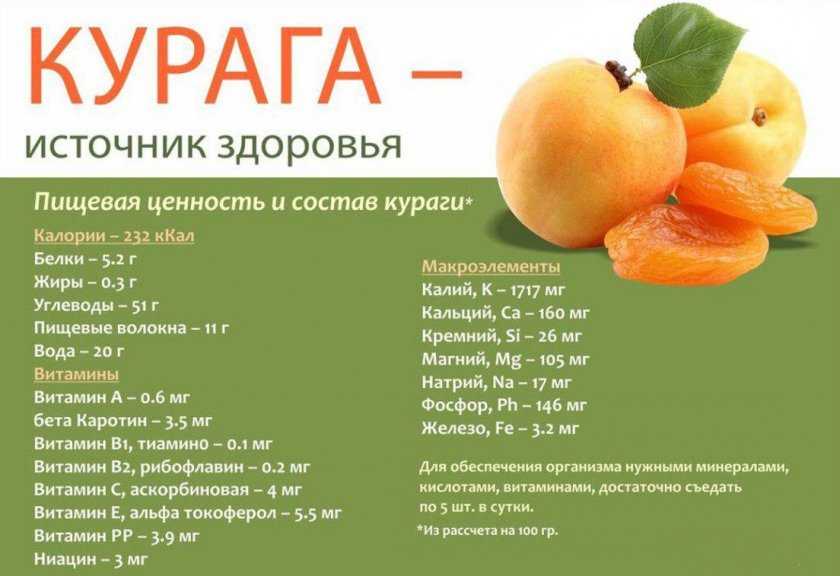 Калорийность сухофруктов — таблица на 100 граммов