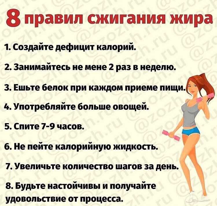 Куда уходит жир, когда вы худеете? – lifekorea.ru