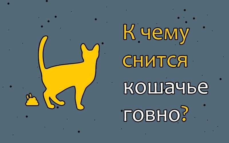 К чему снится черный кот? толкование по 49 сонникам