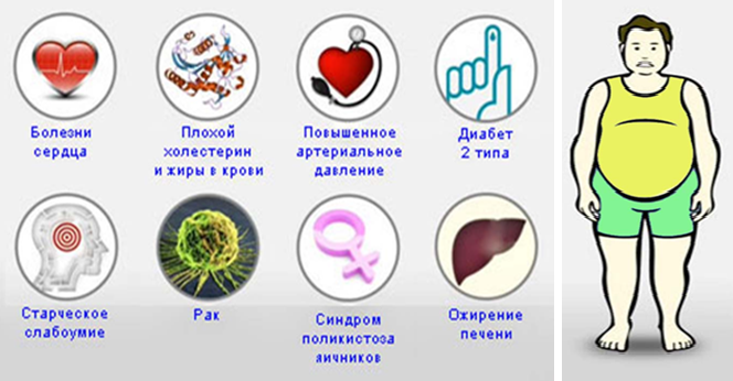 Как приготовить чай с имбирем: 7 рецептов, вред и польза имбирного напитка