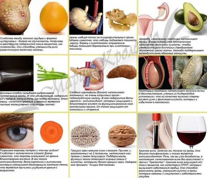 12 продуктов лечат органы, на которые они похожи