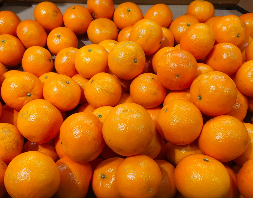 Лечебная диета №9: продукты, рецепты, меню | food and health