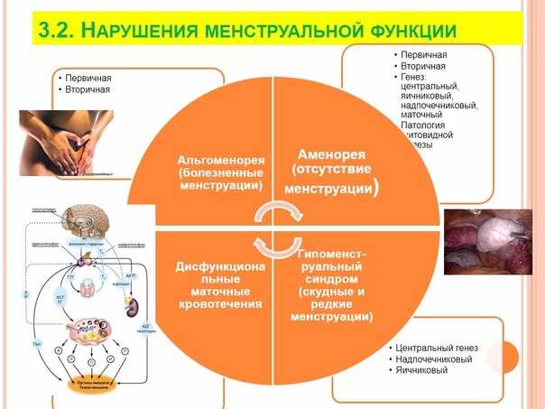 Овсяная диета для похудения — отзывы и результаты, меню и рецепты