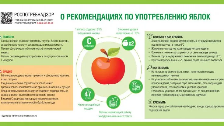 Отличие гуся от гусыни: способы определения пола