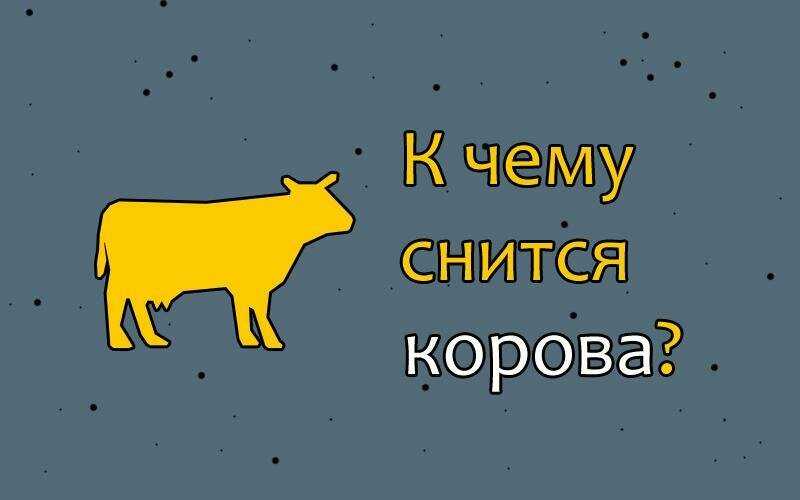 К чему снится бык женщине (нападающий, с рогами, разъяренный) – сонник