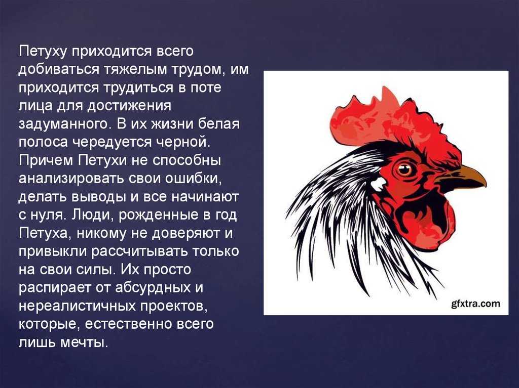 2017 год - год петуха
  восточный календарь когда приходит китайский новый год 2017?
