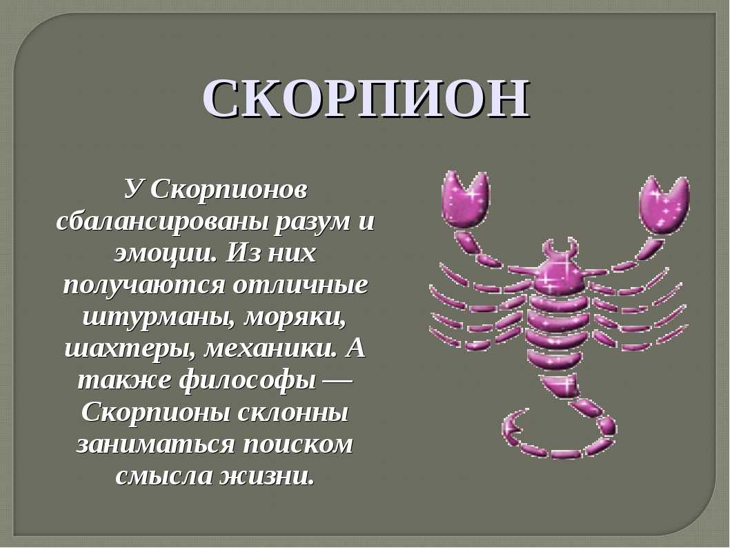 Знак зодиака скорпион, характеристика и совместимость