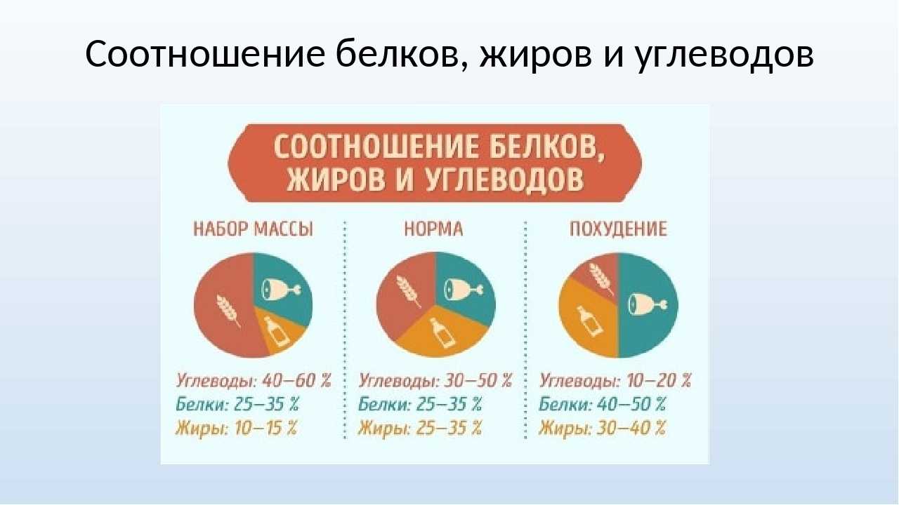 Как считать калории и бжу рациона: простая инструкция