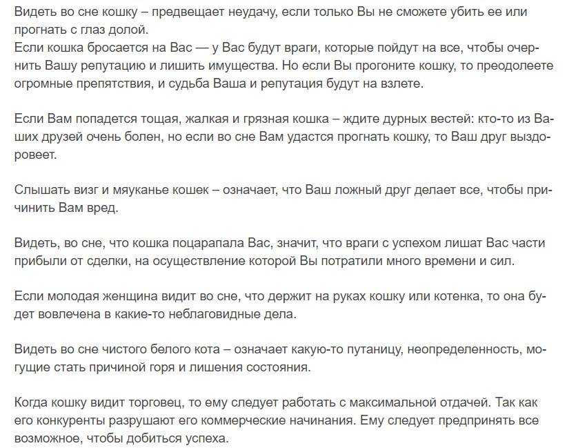 К чему снится кот женщине, мужчине или девушке? приснился свой пушистый и красивый котик в доме? толкование сонника миллера, ванги и других.