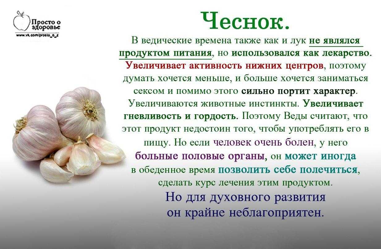 К чему снится лук репчатый