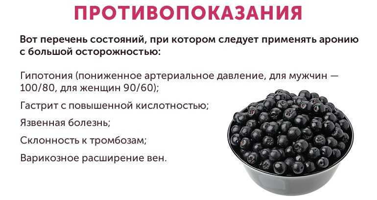 Польза черноплодной рябины и ее применение