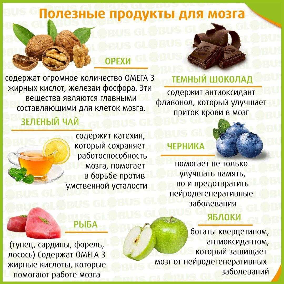 20 продуктов для мозга: какая пища самая полезная для улучшения работы нервной системы и повышения работоспособности человека?