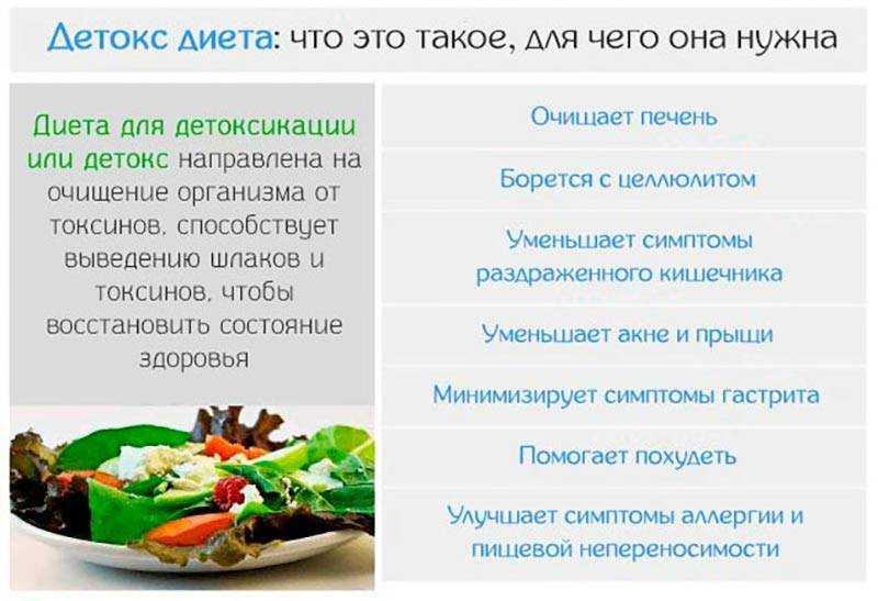 Продукты, которые зашлаковывают организм: ТОП-7 самых вредных для кишечника и здоровья