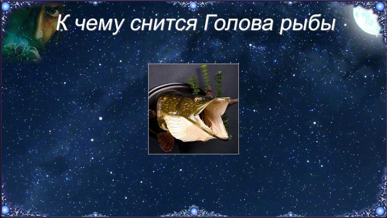 К чему снится дырка в зубе: в целом, это негативное знамение - сонник: дырка в зубе