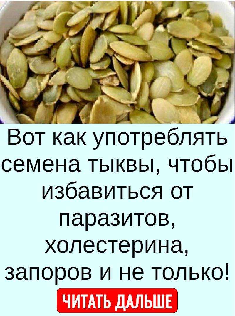 Польза и вред тыквенных семечек для женского организма