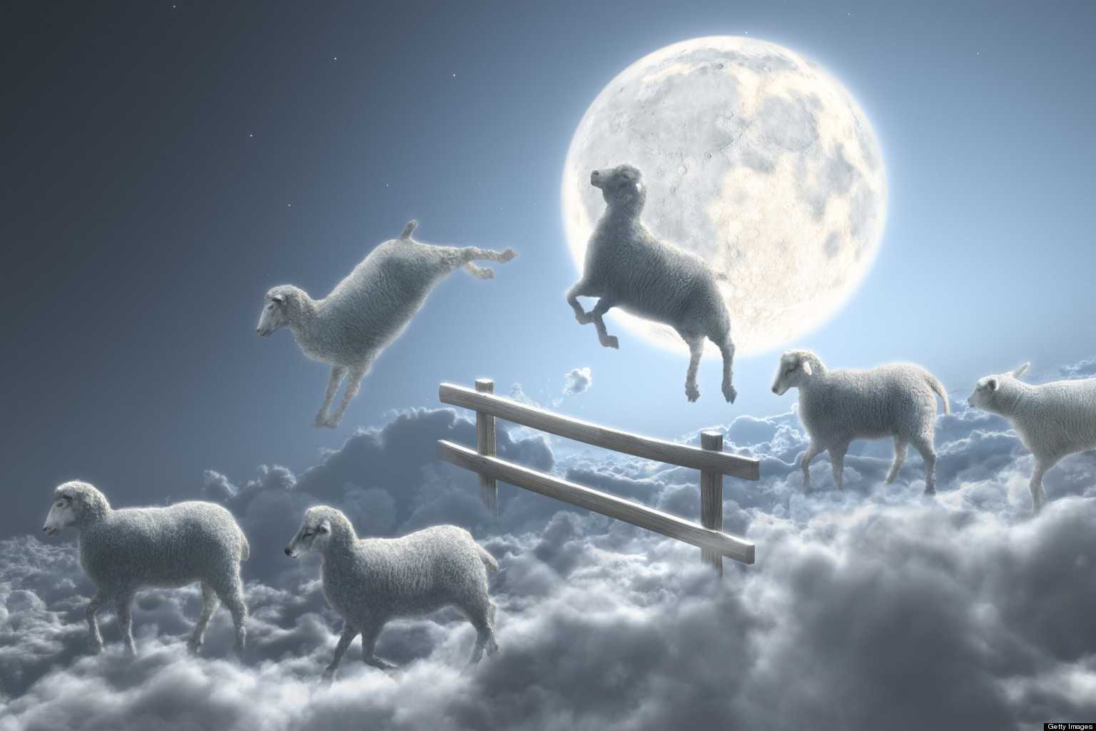 К чему снятся овцы 🐏 — топ 40 толкований ❗ по сонникам: что значит для мужчины и женщины подстригать, кормить или гладить во сне живых белых и черных овечек и баранов