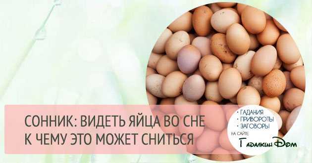 К чему снятся тухлые яйца: сонник на каждый день - onwomen.ru