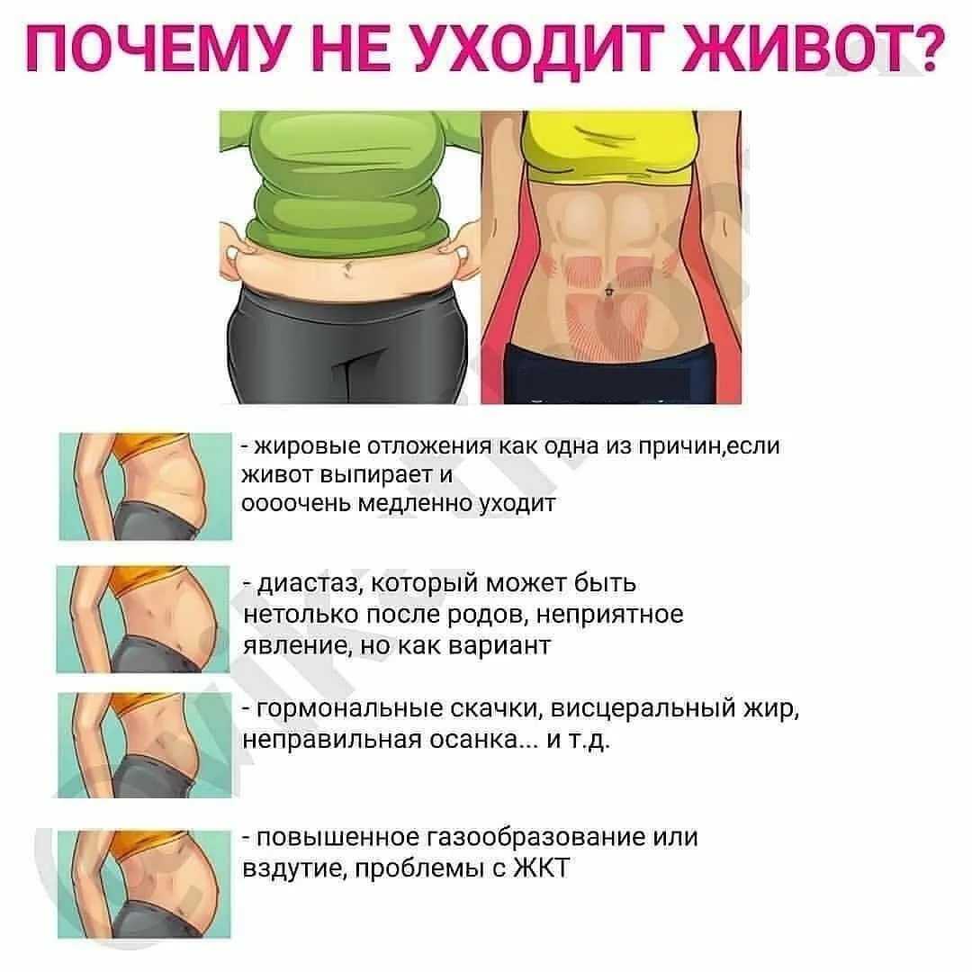 Диета на семечках невероятно эффективна Вместе с процессом расщепления в организме жиров уменьшается толщина жировой прослойки на бедрах, животе, ягодицах и на других проблемных участках тела Именно этого желает добиться худеющая женщина