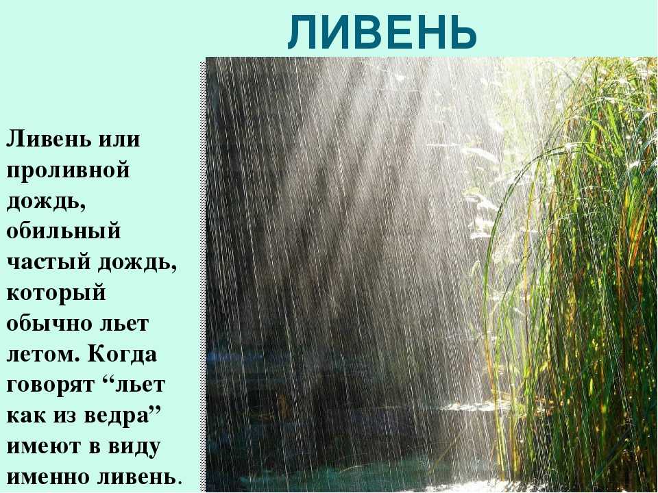 Что пророчит сон про дождь и ливень: истолкование осадков на улице и в доме разными сонниками