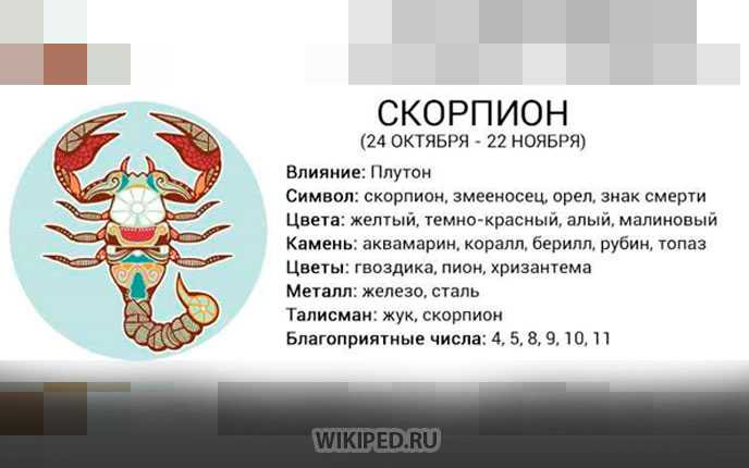 Гороскоп и характеристика скорпиона. дата рождения с 24.10 по 22.11