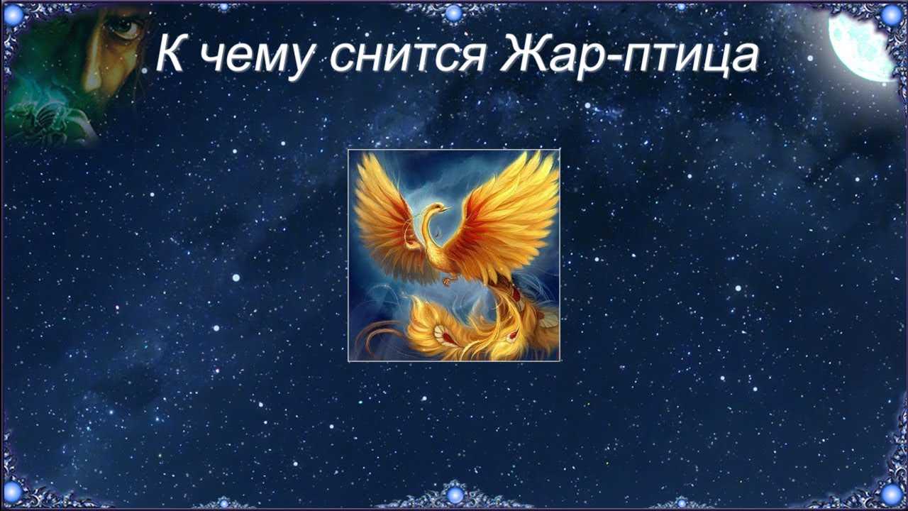 Сонник птицы к чему снится во сне? видеть птиц что означает?
