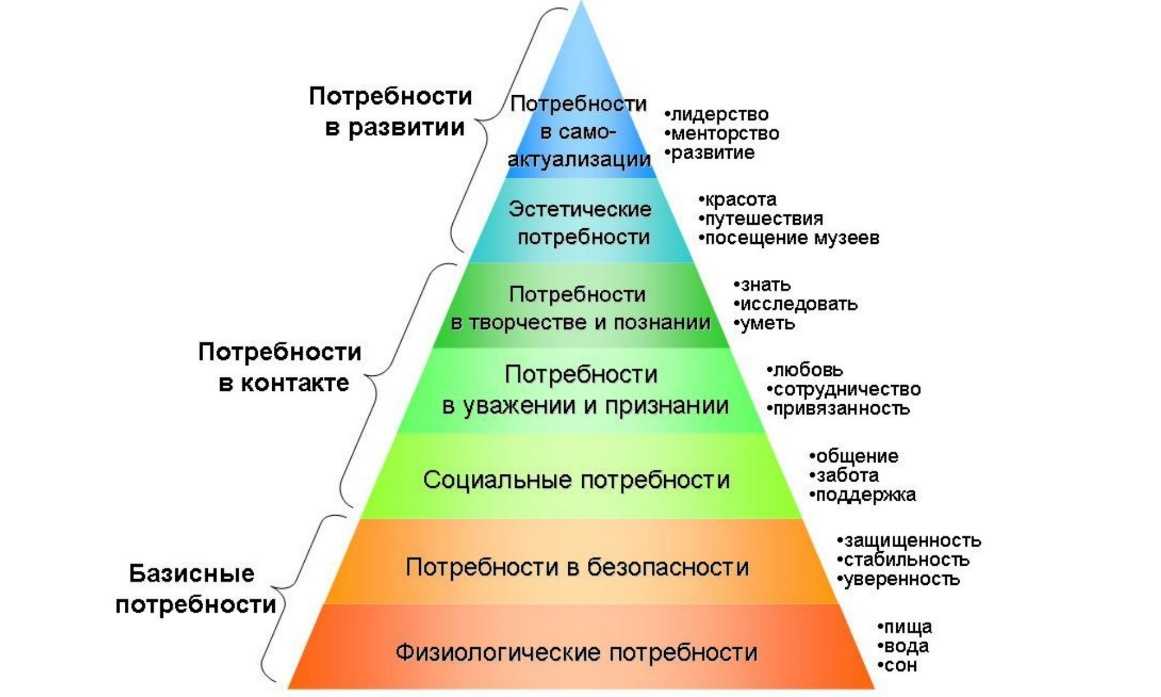 Этапы развития личности: 6 стадий развития взрослого человека